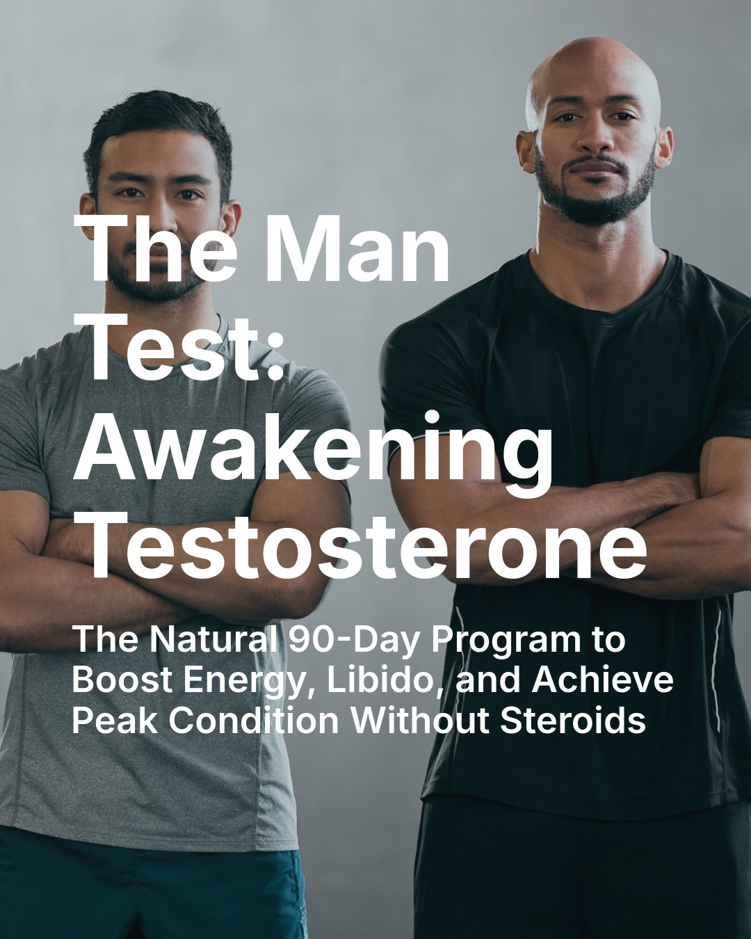 THE MAN TEST: Natural Testosterone Enhancement System - Image 2